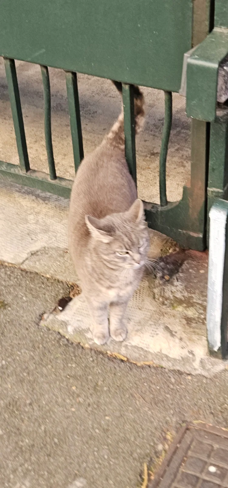 Chat anonyme